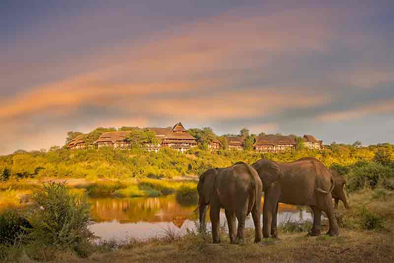 Several elephants standing at a waterhole drinking with a thatch lodge on a hillside in teh distance
