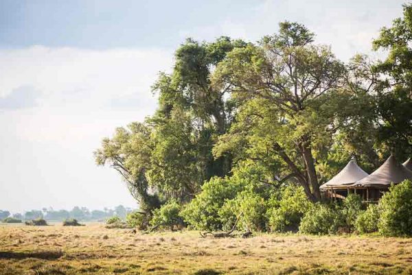 A tent under trees on the edge of a plain