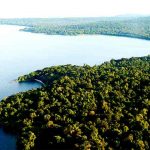An earial view of Rubondo Island Camp