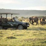 Kichwa Tembo Tented Camp